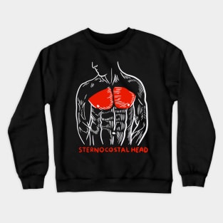 Weightlifting Gym Trainer Muscles Anatomy Sternocostal Head Crewneck Sweatshirt